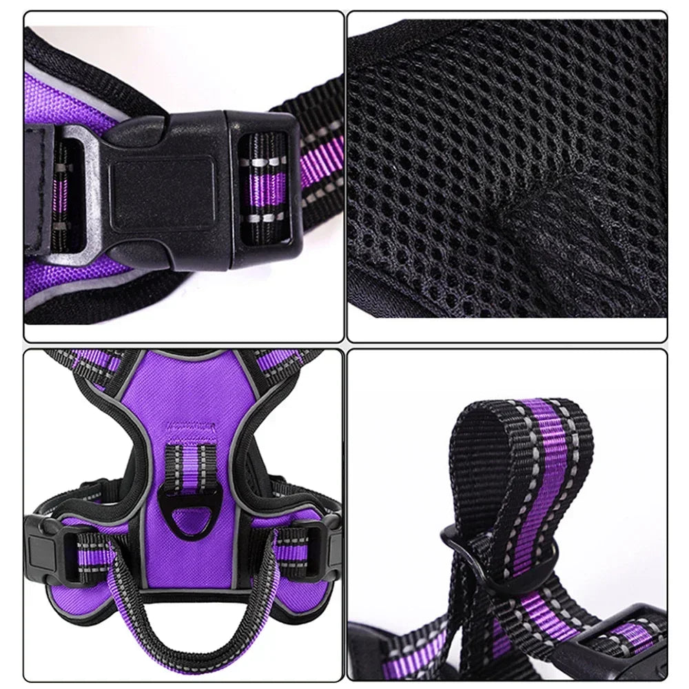 Adjustable No-Pull Dog Harness & Leash Set